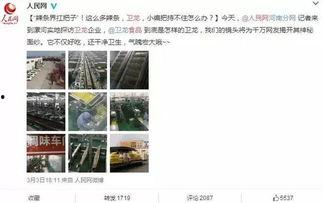 360无死角吃瓜,无死角吃瓜大揭秘